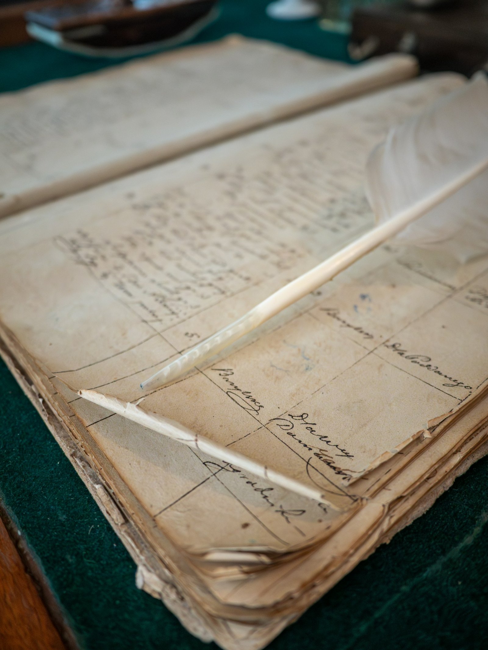 A feather quill resting on aged ledger pages — the materials of careful counsel.